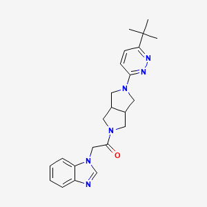 molecular formula C23H28N6O B2592356 2-(Benzimidazol-1-yl)-1-[2-(6-tert-butylpyridazin-3-yl)-1,3,3a,4,6,6a-hexahydropyrrolo[3,4-c]pyrrol-5-yl]ethanone CAS No. 2415582-22-6