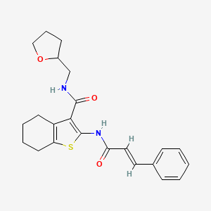 molecular formula C23H26N2O3S B2592857 2-cinnamamido-N-((tetrahydrofuran-2-yl)methyl)-4,5,6,7-tetrahydrobenzo[b]thiophene-3-carboxamide CAS No. 378779-87-4