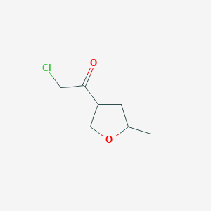 molecular formula C7H11ClO2 B2593528 2-Chloro-1-(5-methyloxolan-3-yl)ethanone CAS No. 1603529-15-2