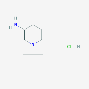 1-Tert-butylpiperidin-3-amine;hydrochloride