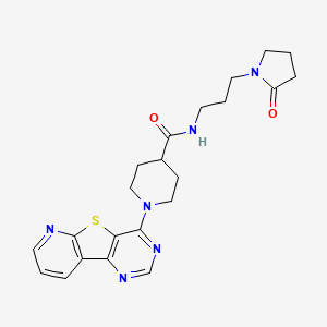 molecular formula C22H26N6O2S B2595614 N-[3-(2-oxopyrrolidin-1-yl)propyl]-1-{8-thia-3,5,10-triazatricyclo[7.4.0.0^{2,7}]trideca-1(13),2(7),3,5,9,11-hexaen-6-yl}piperidine-4-carboxamide CAS No. 1114651-56-7