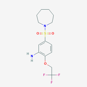 5-(Azepane-1-sulfonyl)-2-(2,2,2-trifluoroethoxy)aniline