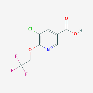 5-Chloro-6-(2,2,2-trifluoroethoxy)pyridine-3-carboxylic acid
