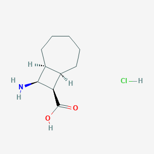 (1S,7R,8R,9S)-9-Aminobicyclo[5.2.0]nonane-8-carboxylic acid;hydrochloride