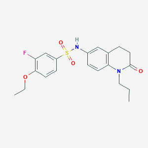 4-ethoxy-3-fluoro-N-(2-oxo-1-propyl-1,2,3,4-tetrahydroquinolin-6-yl)benzenesulfonamide