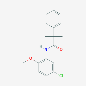 molecular formula C17H18ClNO2 B259979 N-(5-chloro-2-methoxyphenyl)-2-methyl-2-phenylpropanamide 