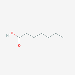 molecular formula CH3(CH2)5COOH<br>C7H14O2<br>C7H14O2 B026006 Heptanoic acid CAS No. 101488-09-9