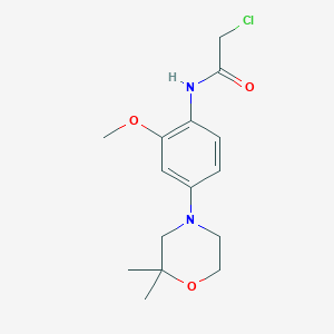 2-Chloro-N-[4-(2,2-dimethylmorpholin-4-yl)-2-methoxyphenyl]acetamide