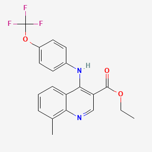 molecular formula C20H17F3N2O3 B2604145 Ethyl 8-methyl-4-[4-(trifluoromethoxy)anilino]-3-quinolinecarboxylate CAS No. 478248-19-0