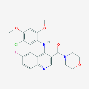 molecular formula C22H21ClFN3O4 B2604270 N-(5-CHLORO-2,4-DIMETHOXYPHENYL)-6-FLUORO-3-(MORPHOLINE-4-CARBONYL)QUINOLIN-4-AMINE CAS No. 1359127-72-2