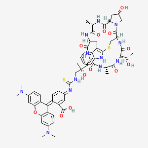 Rhodamine-phalloidin