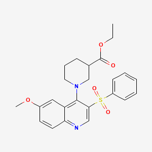 molecular formula C24H26N2O5S B2605000 Ethyl 1-[3-(benzenesulfonyl)-6-methoxyquinolin-4-yl]piperidine-3-carboxylate CAS No. 866811-79-2