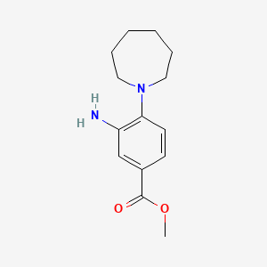 molecular formula C14H20N2O2 B2605765 Methyl 3-amino-4-(azepan-1-yl)benzoate CAS No. 1304304-05-9