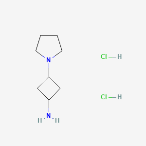 molecular formula C8H18Cl2N2 B2606542 3-(吡咯啉-1-基)环丁胺二盐酸盐 CAS No. 1909288-73-8