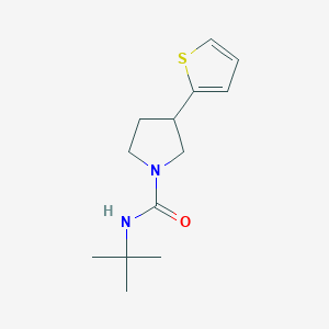 molecular formula C13H20N2OS B2606617 N-(叔丁基)-3-(噻吩-2-基)吡咯烷-1-甲酰胺 CAS No. 2177365-45-4
