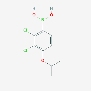 2,3-Dichloro-4-isopropoxyphenylboronic acid