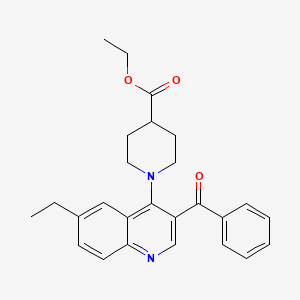 Ethyl 1-(3-benzoyl-6-ethylquinolin-4-yl)piperidine-4-carboxylate