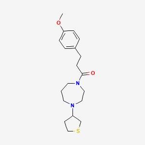 molecular formula C19H28N2O2S B2613481 3-(4-Methoxyphenyl)-1-(4-(tetrahydrothiophen-3-yl)-1,4-diazepan-1-yl)propan-1-one CAS No. 2310102-97-5