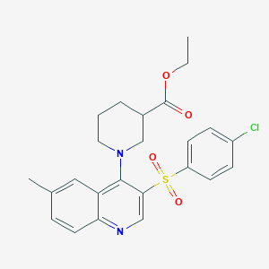 molecular formula C24H25ClN2O4S B2616555 ETHYL 1-[3-(4-CHLOROBENZENESULFONYL)-6-METHYLQUINOLIN-4-YL]PIPERIDINE-3-CARBOXYLATE CAS No. 866871-38-7
