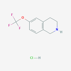 6-(Trifluoromethoxy)-1,2,3,4-tetrahydroisoquinoline hydrochloride