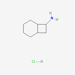 molecular formula C8H16ClN B2617383 Bicyclo[4.2.0]octan-7-amine hydrochloride CAS No. 2089258-60-4