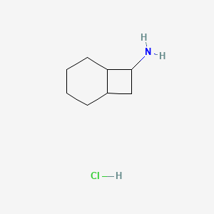 molecular formula C8H16ClN B2617383 Bicyclo[4.2.0]octan-7-amine;hydrochloride CAS No. 2089258-60-4