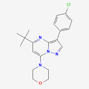 4-[5-Tert-butyl-3-(4-chlorophenyl)pyrazolo[1,5-a]pyrimidin-7-yl]morpholine