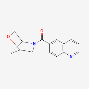 molecular formula C15H14N2O2 B2619129 6-{2-oxa-5-azabicyclo[2.2.1]heptane-5-carbonyl}quinoline CAS No. 2034289-09-1