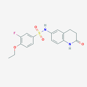 4-ethoxy-3-fluoro-N-(2-oxo-1,2,3,4-tetrahydroquinolin-6-yl)benzenesulfonamide