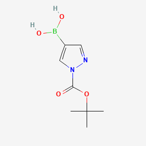 molecular formula C8H13BN2O4 B2626936 1-tert-Butoxycarbonyl-1H-pyrazole-4-boronic acid CAS No. 1188405-87-9; 947533-31-5