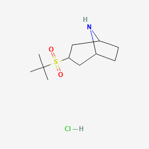 molecular formula C11H22ClNO2S B2627068 3-(2-Methylpropane-2-sulfonyl)-8-azabicyclo[3.2.1]octane hydrochloride CAS No. 2097896-99-4