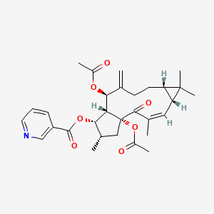 [(1R,3Z,5R,7S,11R,12R,13S,14S)-1,11-diacetyloxy-3,6,6,14-tetramethyl-10-methylidene-2-oxo-13-tricyclo[10.3.0.05,7]pentadec-3-enyl] pyridine-3-carboxylate