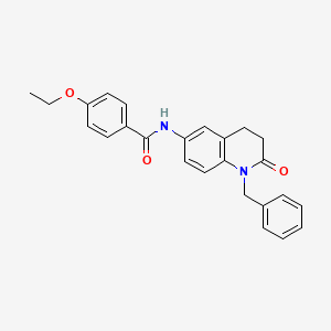 molecular formula C25H24N2O3 B2629512 N-(1-benzyl-2-oxo-1,2,3,4-tetrahydroquinolin-6-yl)-4-ethoxybenzamide CAS No. 954608-99-2