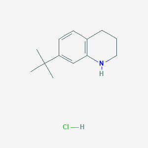 7-Tert-butyl-1,2,3,4-tetrahydroquinoline hydrochloride