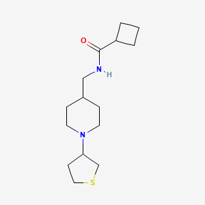 molecular formula C15H26N2OS B2629858 N-{[1-(thiolan-3-yl)piperidin-4-yl]methyl}cyclobutanecarboxamide CAS No. 2034506-04-0