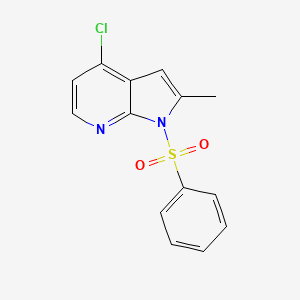 molecular formula C14H11ClN2O2S B2630879 4-chloro-2-methyl-1-(phenylsulfonyl)-1H-pyrrolo[2,3-b]pyridine CAS No. 744209-64-1