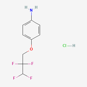 molecular formula C9H10ClF4NO B2631350 [4-(2,2,3,3-Tetrafluoropropoxy)phenyl]amine hydrochloride CAS No. 109230-81-1