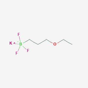 molecular formula C5H11BF3KO B2632259 Potassium (3-ethoxypropyl)trifluoroborate CAS No. 1612215-44-7