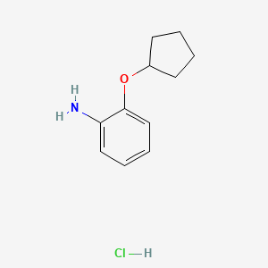 molecular formula C11H16ClNO B2634468 2-(Cyclopentyloxy)aniline hydrochloride CAS No. 1170461-50-3