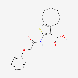 Methyl 2-[(phenoxyacetyl)amino]-4,5,6,7,8,9-hexahydrocycloocta[b]thiophene-3-carboxylate
