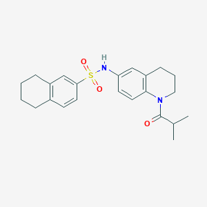molecular formula C23H28N2O3S B2637952 N-[1-(2-methylpropanoyl)-1,2,3,4-tetrahydroquinolin-6-yl]-5,6,7,8-tetrahydronaphthalene-2-sulfonamide CAS No. 1005300-02-6