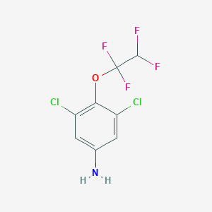 molecular formula C8H5Cl2F4NO B026387 3,5-二氯-4-(1,1,2,2-四氟乙氧基)苯胺 CAS No. 104147-32-2