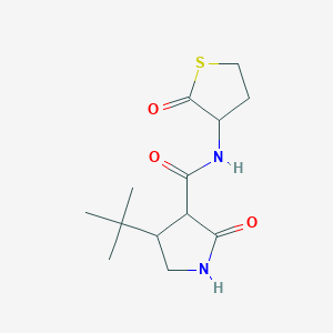 4-tert-butyl-2-oxo-N-(2-oxothiolan-3-yl)pyrrolidine-3-carboxamide
