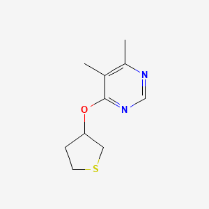 4,5-Dimethyl-6-(thiolan-3-yloxy)pyrimidine