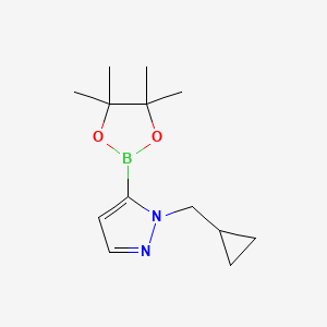 molecular formula C13H21BN2O2 B2641374 1-(Cyclopropylmethyl)pyrazole-5-boronic acid pinacol ester CAS No. 2019997-41-0