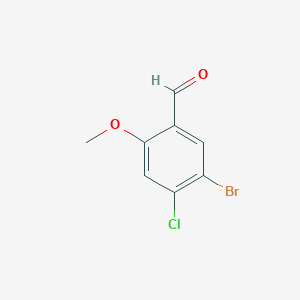 molecular formula C8H6BrClO2 B2641546 5-Bromo-4-chloro-2-methoxybenzaldehyde CAS No. 223778-51-6