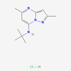 molecular formula C12H19ClN4 B2643234 N-tert-butyl-2,5-dimethylpyrazolo[1,5-a]pyrimidin-7-amine hydrochloride CAS No. 2379972-11-7
