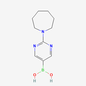 molecular formula C10H16BN3O2 B2645694 2-(氮杂庚烷-1-基)嘧啶-5-硼酸 CAS No. 2096333-81-0