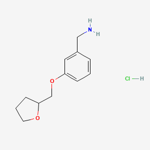 molecular formula C12H18ClNO2 B2646292 [3-(Oxolan-2-ylmethoxy)phenyl]methanamine;hydrochloride CAS No. 2567502-92-3