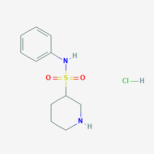 molecular formula C11H17ClN2O2S B2646725 N-phenylpiperidine-3-sulfonamide hydrochloride CAS No. 1989659-77-9